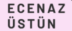ecnzsstn